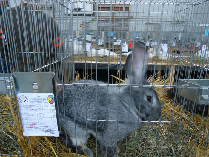 DSC06078