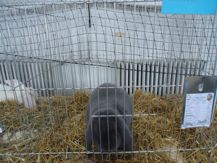 DSC06097