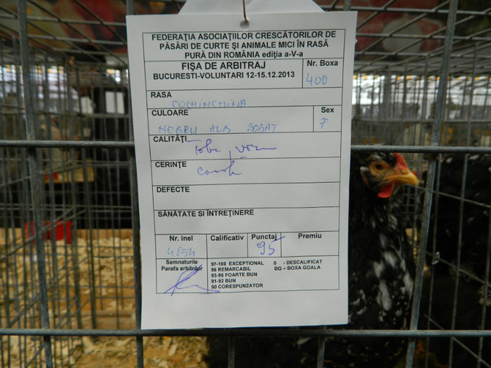 Picture 032 - Expozitia Nationala editia a-5-a 2013 Bucuresti