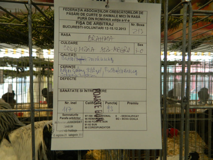 Picture 090 - Expozitia Nationala editia a-5-a 2013 Bucuresti