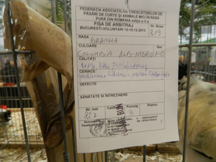 Picture 092 - Expozitia Nationala editia a-5-a 2013 Bucuresti