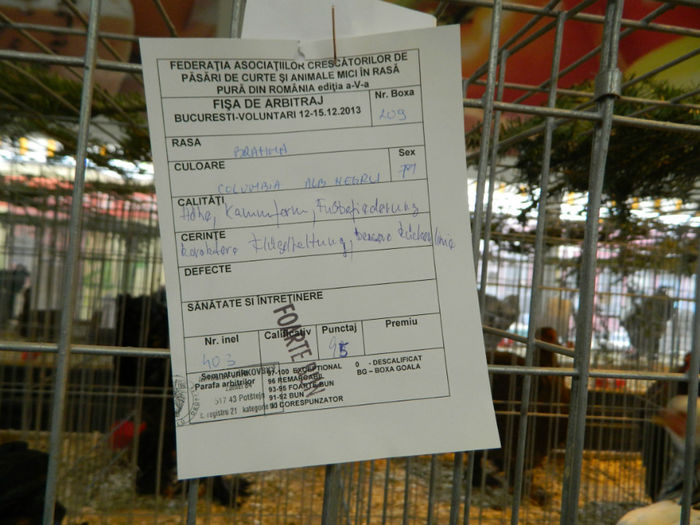 Picture 096 - Expozitia Nationala editia a-5-a 2013 Bucuresti