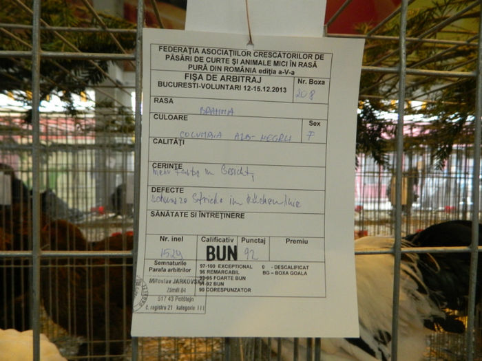 Picture 102 - Expozitia Nationala editia a-5-a 2013 Bucuresti