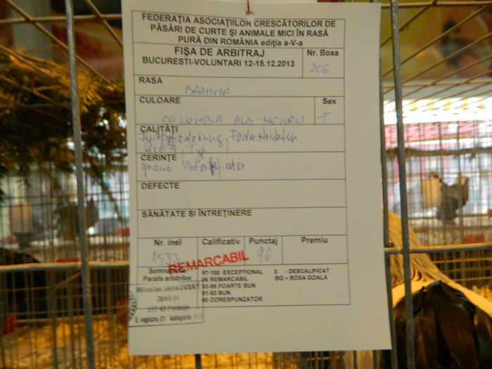 Picture 104 - Expozitia Nationala editia a-5-a 2013 Bucuresti