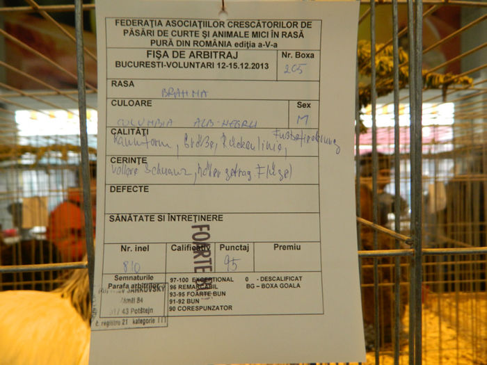 Picture 106 - Expozitia Nationala editia a-5-a 2013 Bucuresti