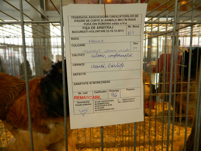 Picture 156 - Expozitia Nationala editia a-5-a 2013 Bucuresti