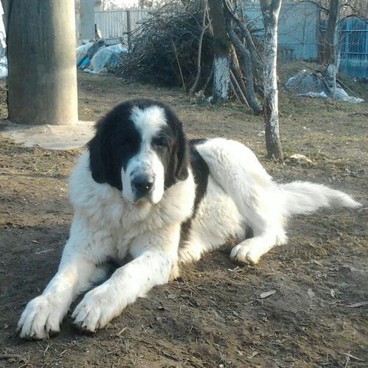 2013-12-16 14.59.50-1