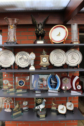 Claes Troph - Jean Claes-Nakajima-BELG