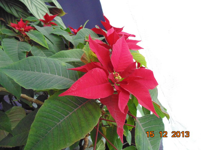 DSC00581