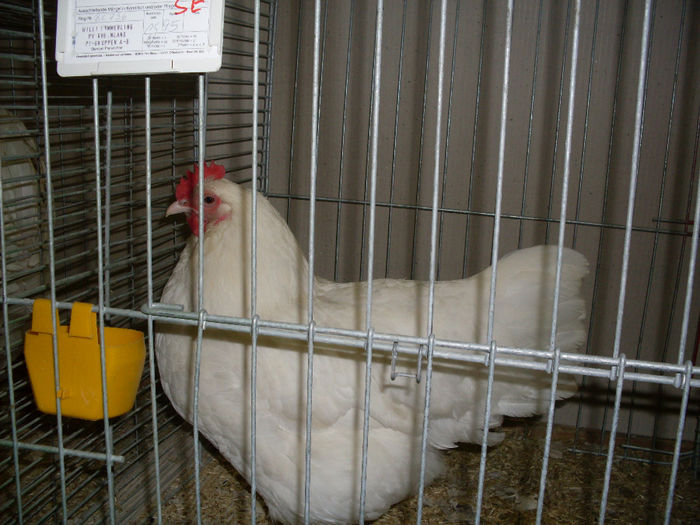SDC13139