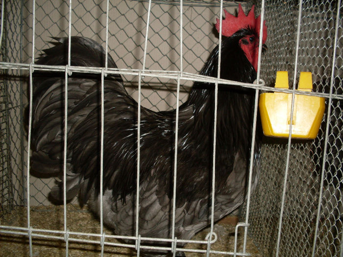 SDC13140