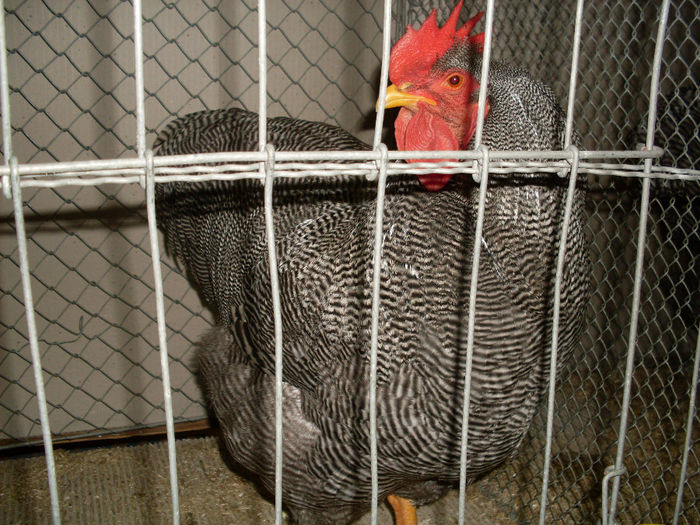 SDC13152
