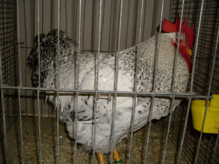 SDC13155