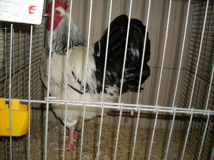 SDC13157