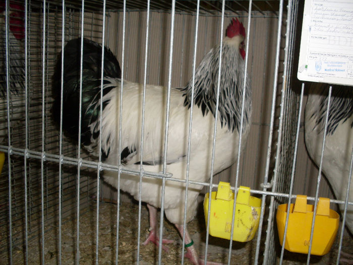 SDC13159