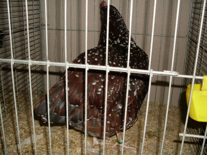 SDC13165