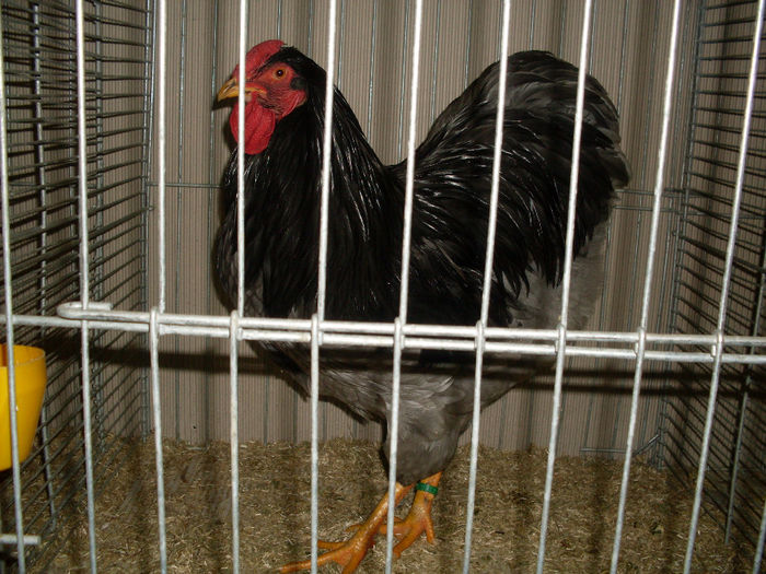 SDC13166