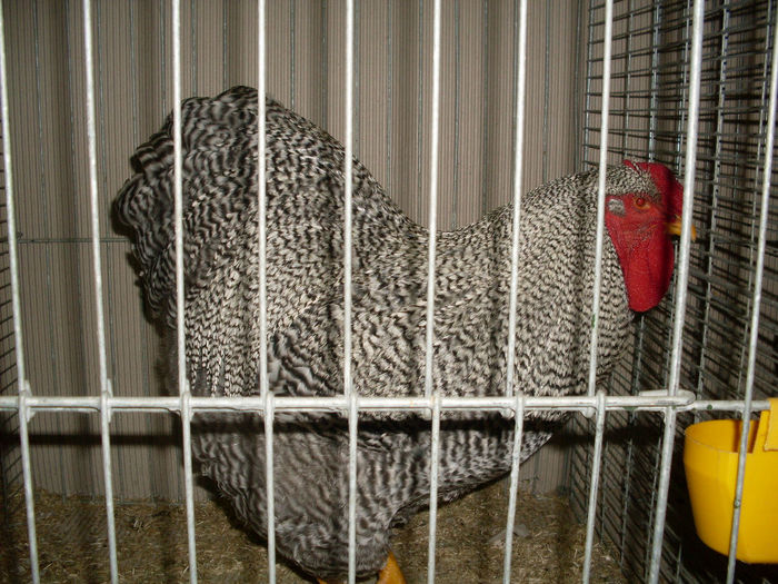 SDC13167