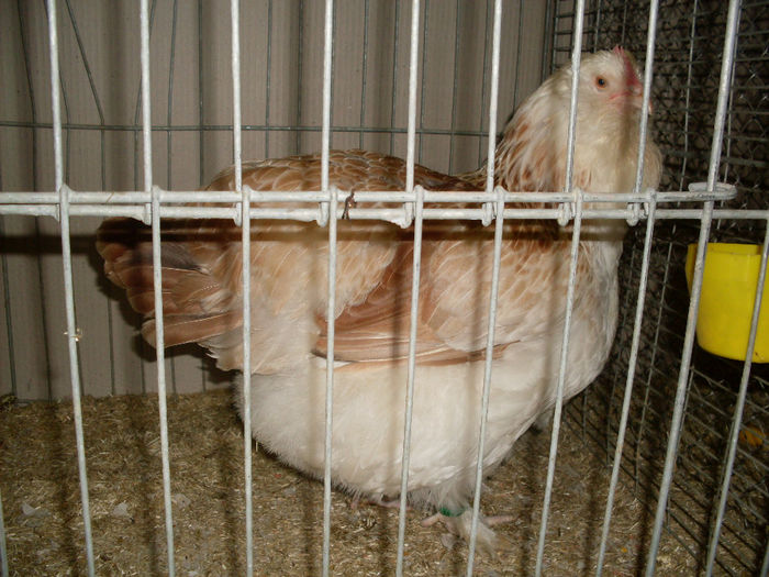 SDC13173