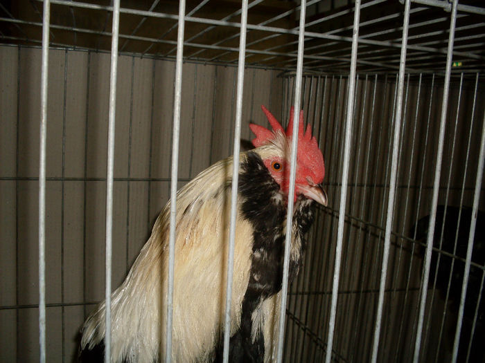SDC13177