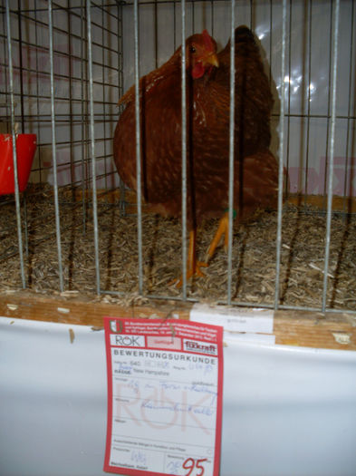 SDC13253