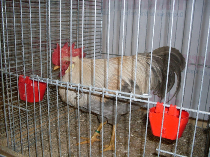 SDC13257