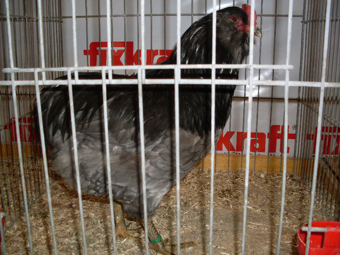 SDC13306