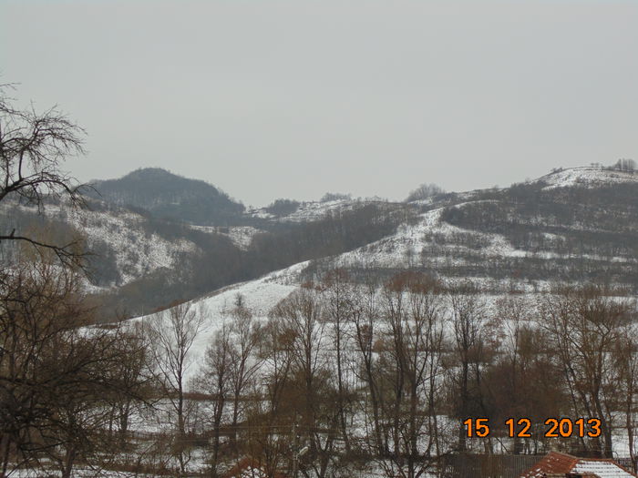 DSC00578 - Fotografii 2013