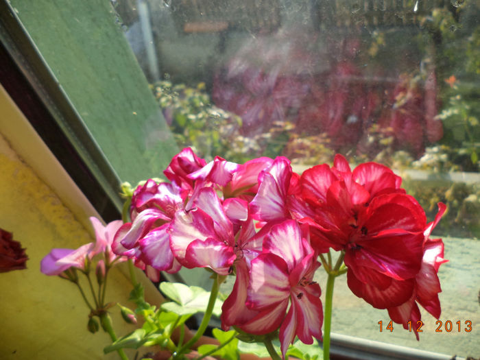 DSC02355