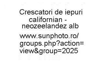 Numele grupului si adresa - 11 Lista crescatorilor de iepuri californian-neozeelandez alb