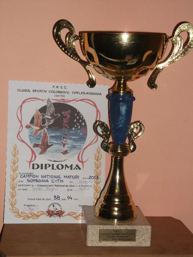 CAMPION NATIONAL MATURI DIN 3 ETAPE38H14'     2013 007 - Medalii Cupe Diplome castigate an 2013