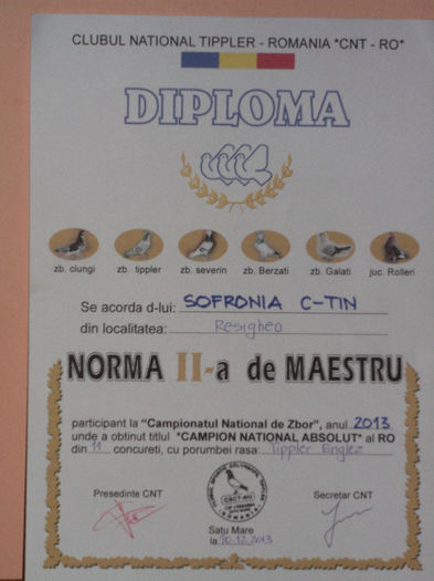 CUPE MEDALII DIPLOME  2013 010 - Medalii Cupe Diplome castigate an 2013