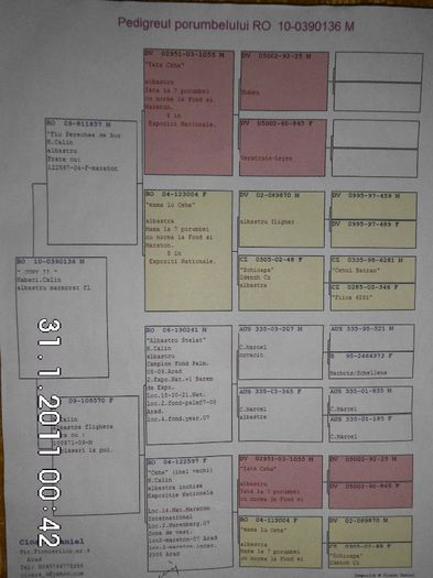 pedigreu JONI II - achiziti 2013-2014