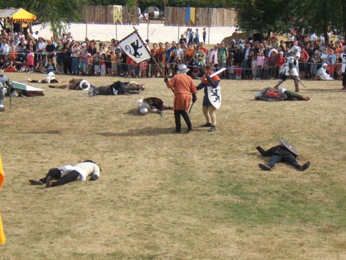 DSCF2055 - De prin Franta