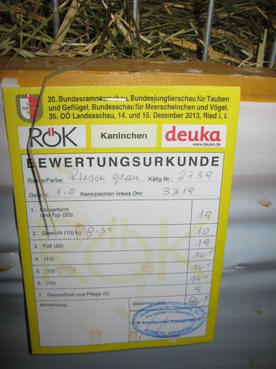 Ried 2013_ 098