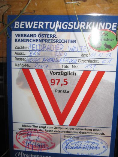 Ried 2013_ 116
