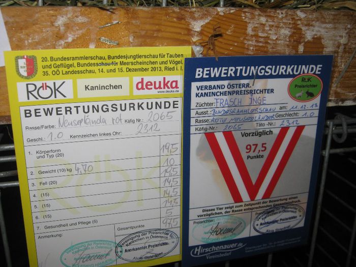 Ried 2013_ 119