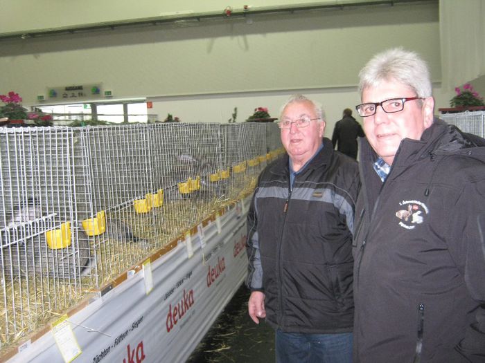 Ried 2013_-domn.Buhringer