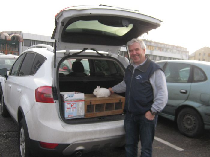 de la dansul am cumparat pentr