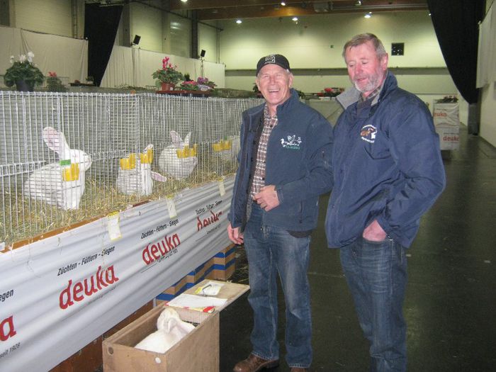 si Franz vinde iepuri