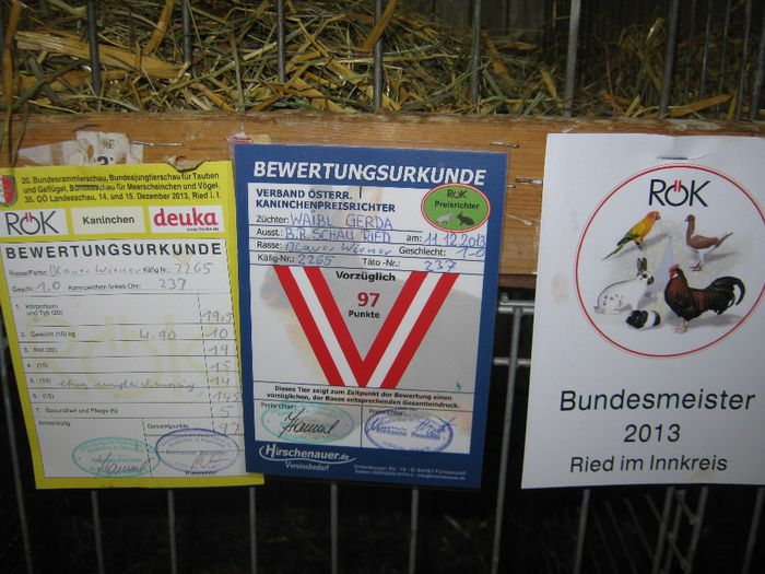 Ried 2013_ 256