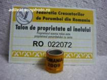 RO 2009 - inele