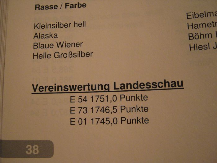 Ried 2013_ 302