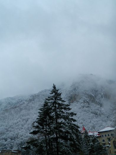 DSCN9416