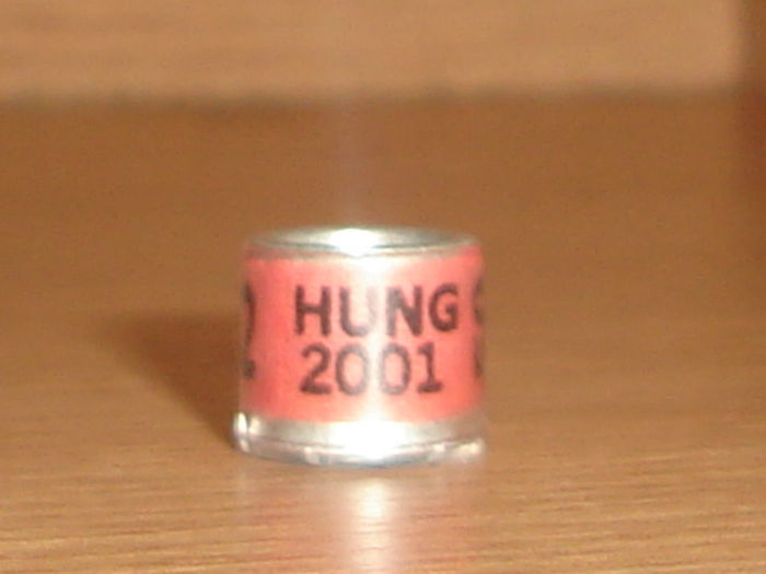 HUNG 2001