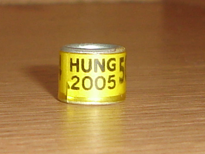 HUNG 2005 - UNGARIA