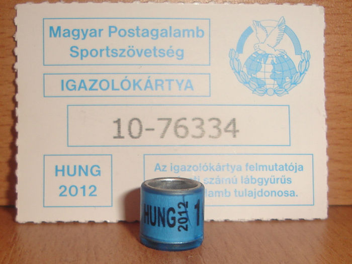 HUNG 2012