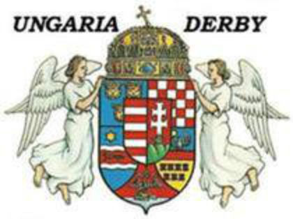 .ungaria derby - UNGARIA DERBY