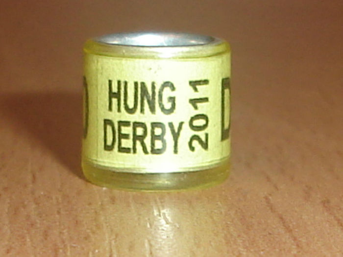 HUNG 2011 DERBY