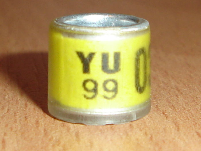 YU 1999